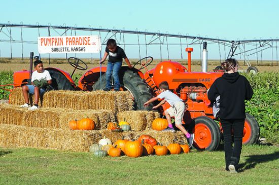 Pumpkin Paradise open for 2025 season